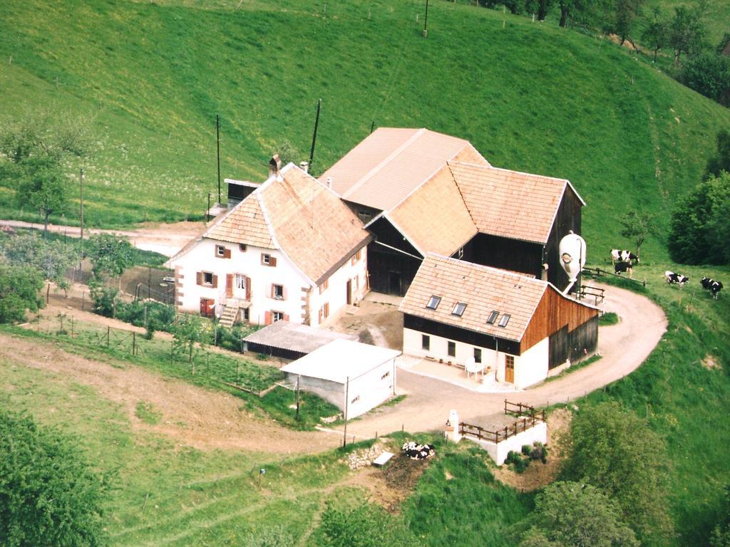 Gite A L'Oree Des Biches Sainte-Marie-aux-Mines Room photo