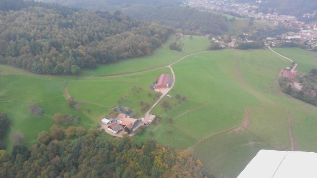 Gite A L'Oree Des Biches Sainte-Marie-aux-Mines Exterior photo